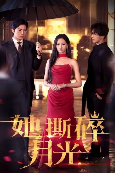 《她撕碎月光》封面