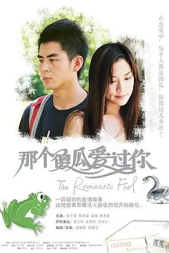 《那个傻瓜爱过你》封面
