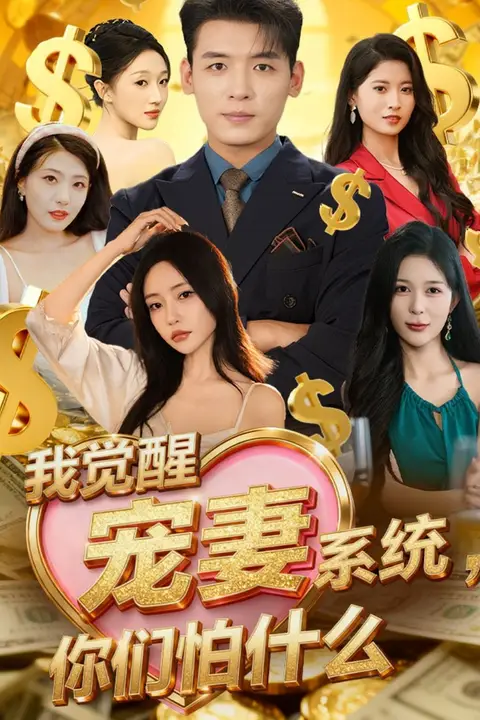 《我觉醒宠妻系统你们怕什么(他们都说我有奸雄之风)》封面
