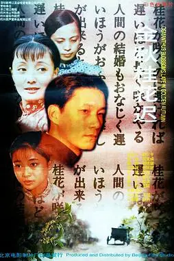 《金秋桂花迟》封面