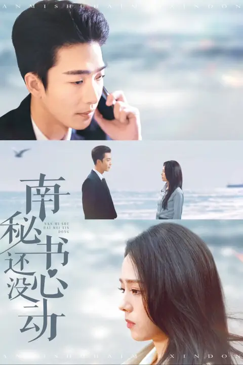 《南秘书还没心动》封面