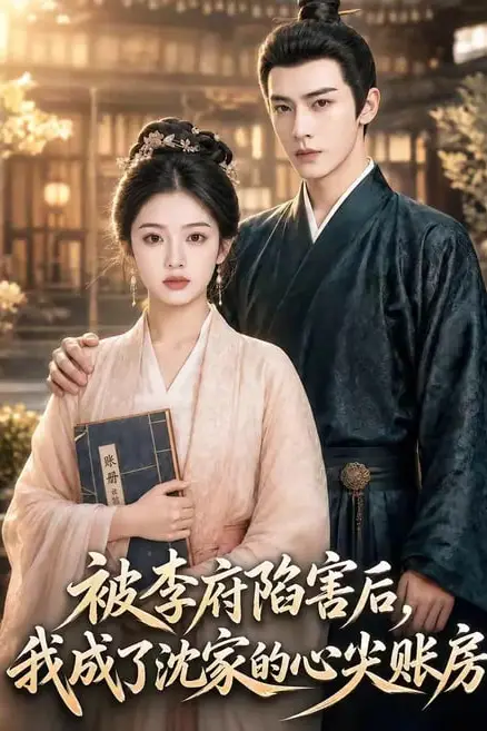 《被李府陷害后，我成了沈家的心尖账房》封面