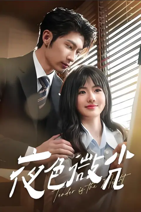 《夜色微光》封面