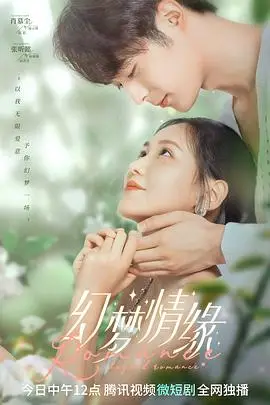 《幻梦情缘》封面