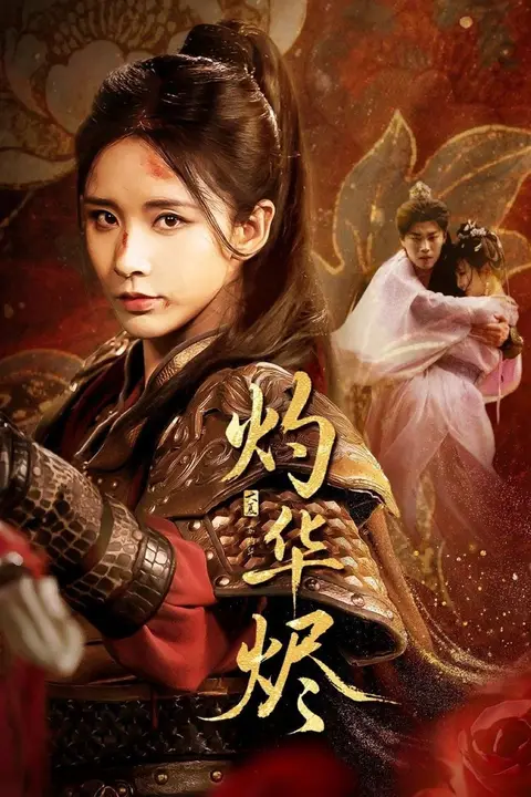 《灼华烬》封面