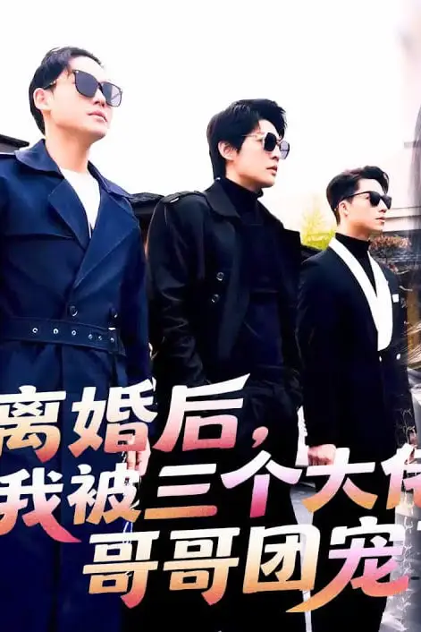 《离婚后我带三胞胎嫁给了大佬》封面