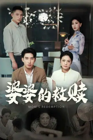 《婆婆的救赎》封面