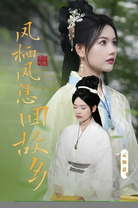 《凤栖凤息回故乡》封面