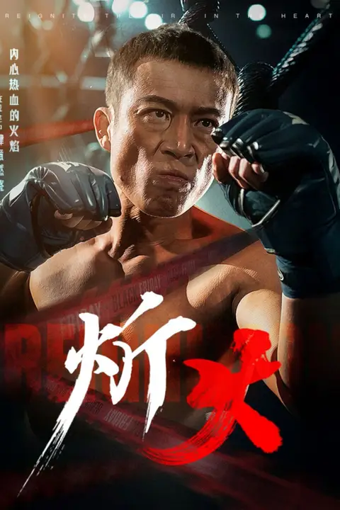 《炘火》封面