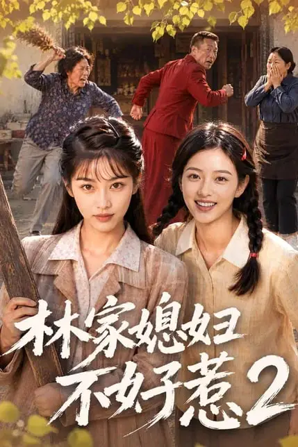 《林家媳妇不好惹2》封面