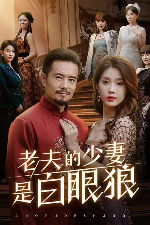 《老夫的少妻是白眼狼》封面