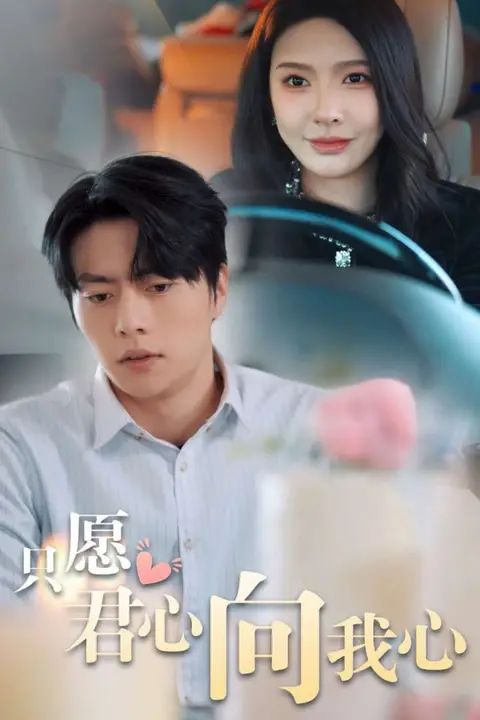 《只愿君心向我心》封面