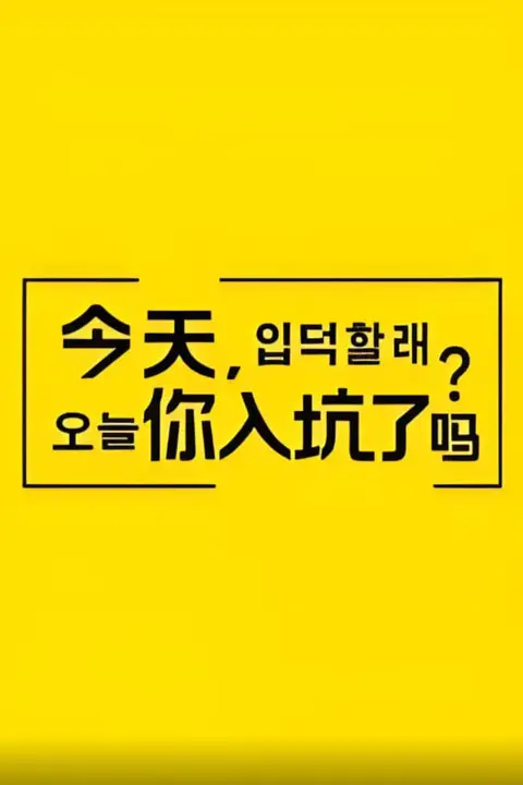 《今天,你入坑了吗?》封面