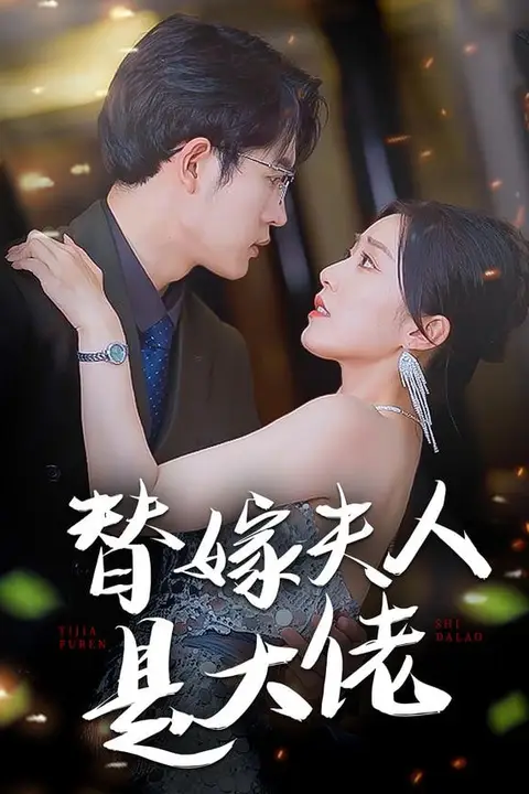 《替嫁大佬不好惹》封面
