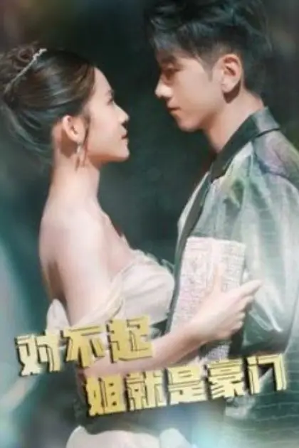 《对不起姐就是豪门》封面