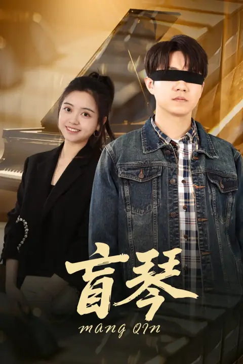 《盲琴》封面