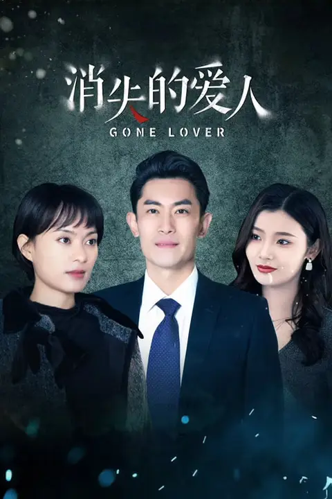 《消失的爱人》封面