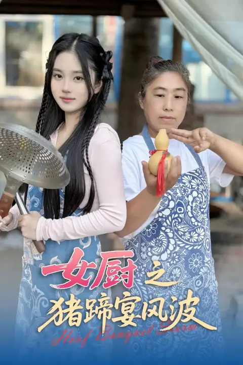 《女厨之猪蹄宴风波》封面