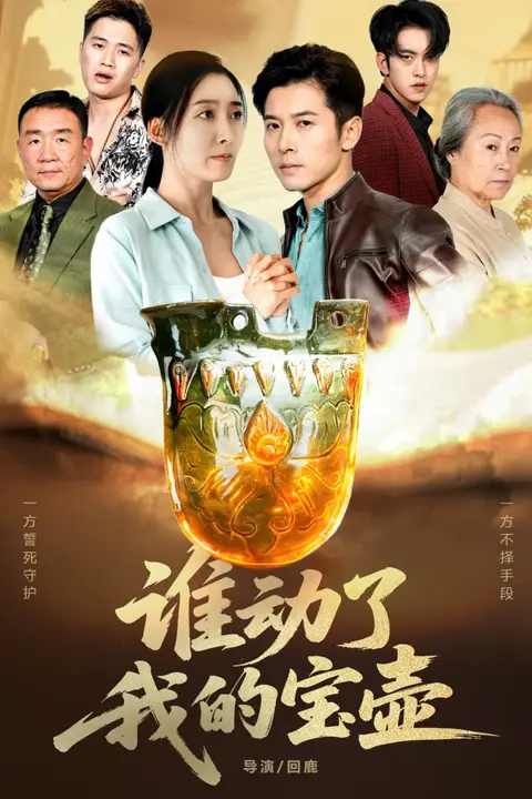 《谁动了我的宝壶》封面