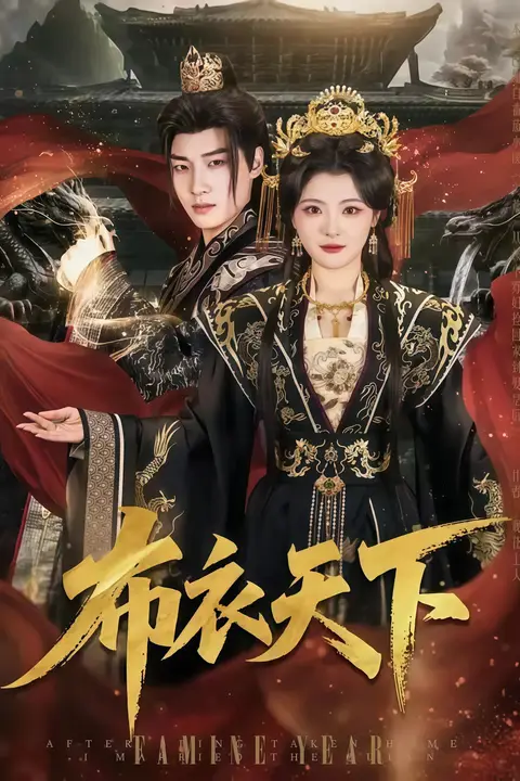 《布衣天下》封面