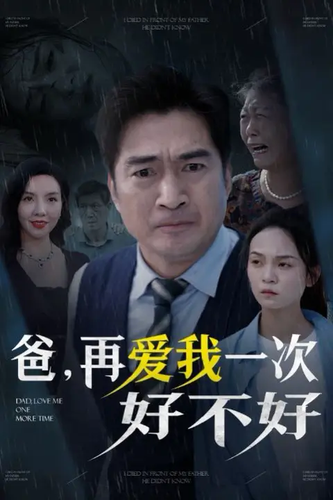 《爸再爱我一次好不好》封面
