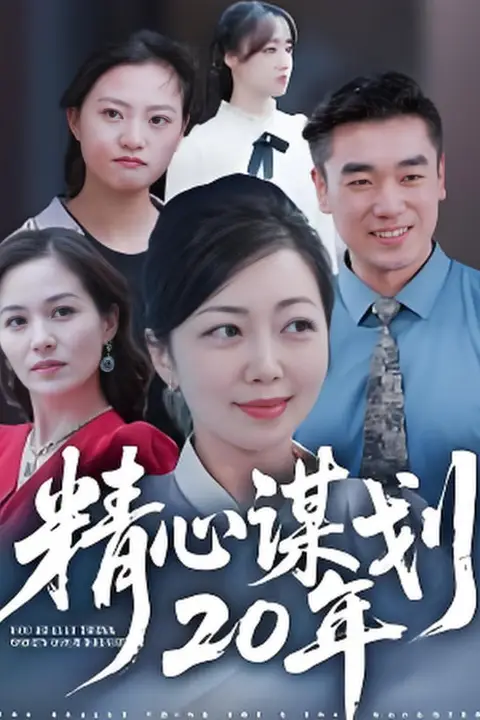 《精心谋划20年》封面