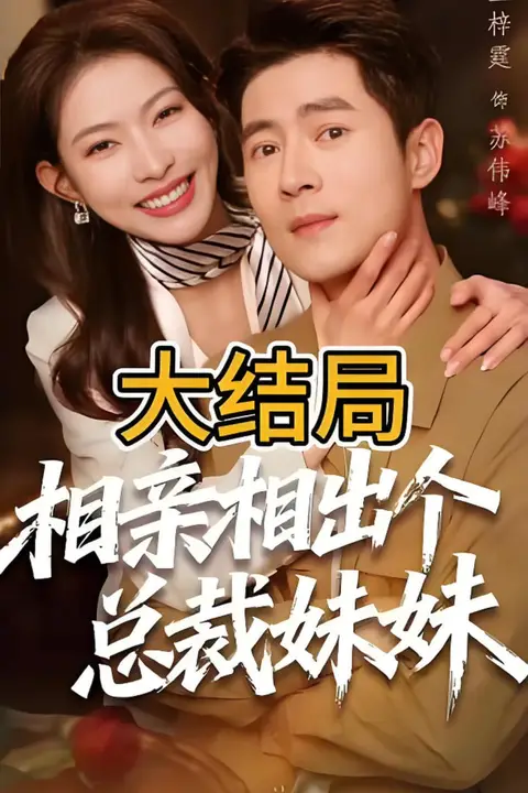 《相亲相出个总裁妹妹》封面