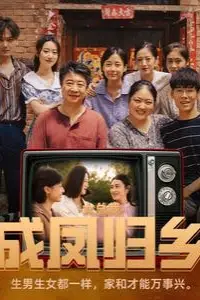 《女总裁成凤归乡》封面