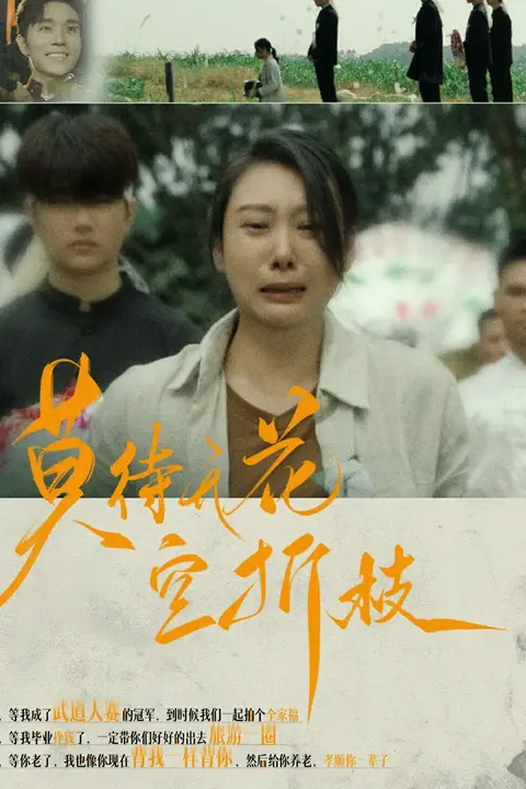 《莫待无花空折枝》封面