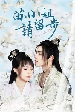《苏小姐请留步》封面