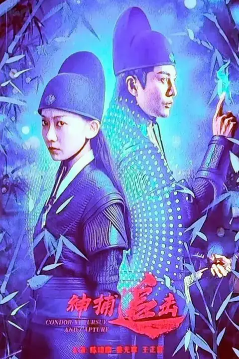 《神捕追击》封面