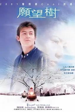 《愿望树》封面