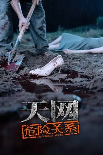 《天网:危险关系》封面