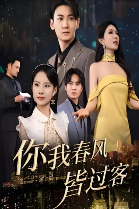 《你我春风皆过客》封面