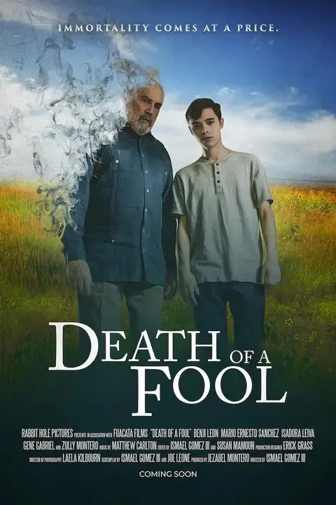 《傻瓜之死》封面