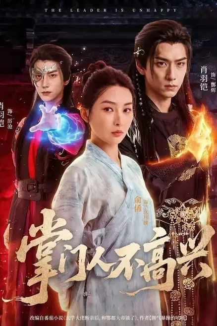 《掌门人不高兴》封面