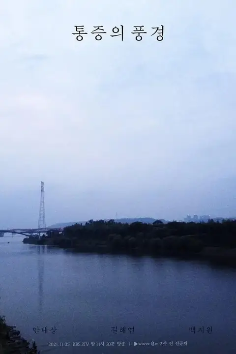 《疼痛的风景》封面