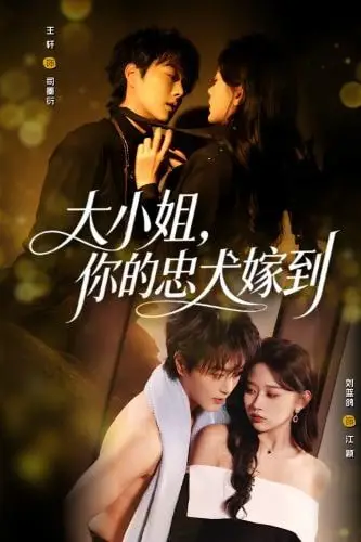 《大小姐,你的忠犬嫁到》封面