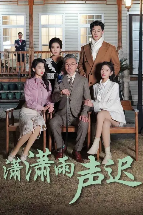 《潇潇雨声迟》封面