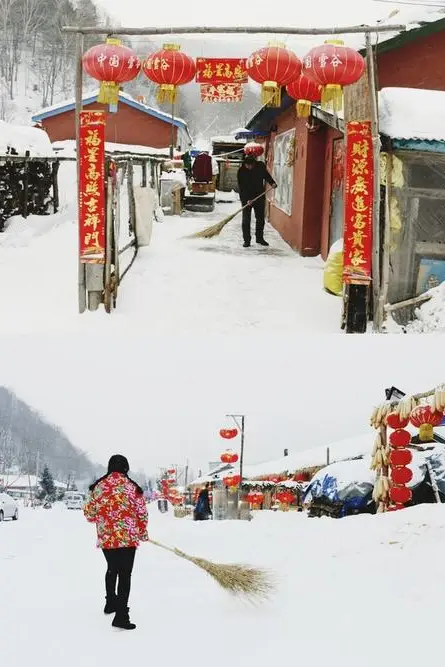 《东北不冷》封面