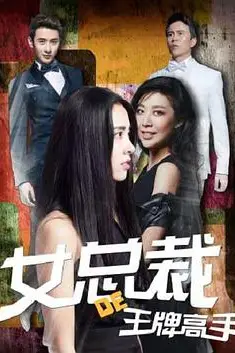 《女总裁的王牌高手》封面