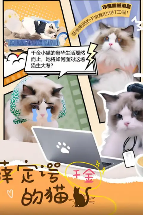 《薛定谔的猫》封面