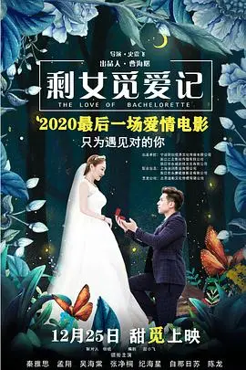 《剩女觅爱记》封面
