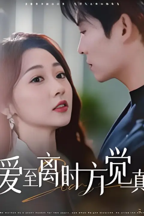 《爱至离时方觉真》封面