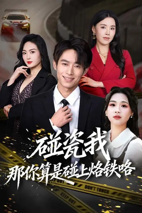 《碰瓷我那你算是碰上烙铁咯》封面