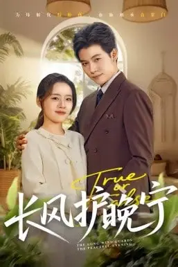 《长风护晚宁》封面