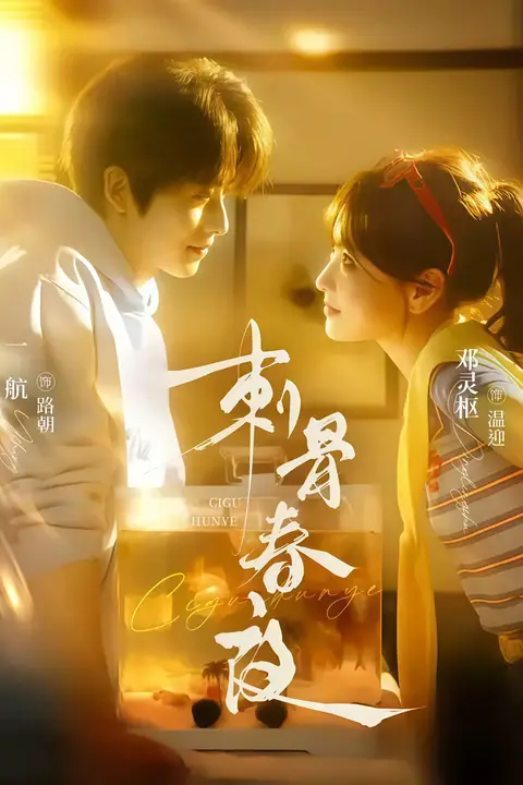 《刺骨春夜》封面