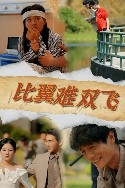 《比翼难双飞》封面