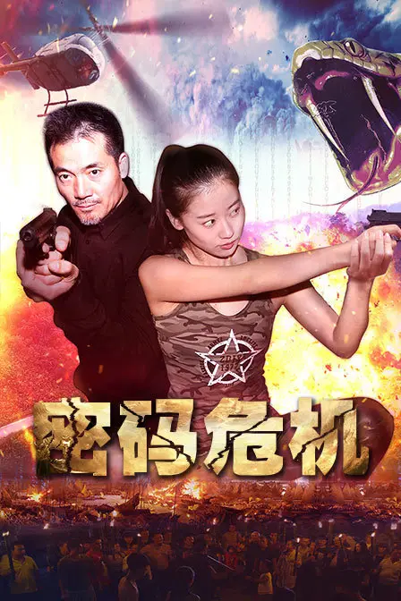 《密码危机》封面