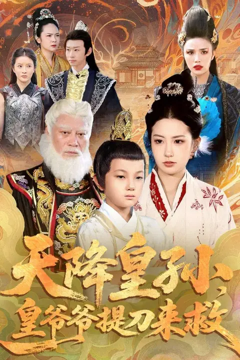 《天降皇孙，皇爷爷提刀来救》封面